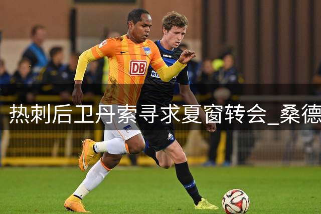 热刺后卫丹索寻求夏窗转会 桑德兰租借请求遭拒