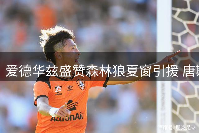 爱德华兹盛赞森林狼夏窗引援 唐斯成关键推手