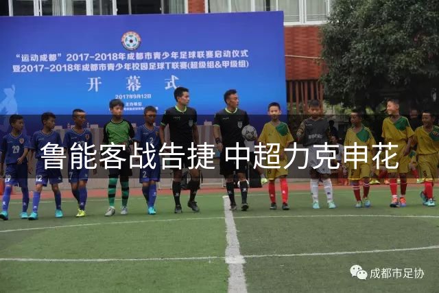 鲁能客战告捷 中超力克申花